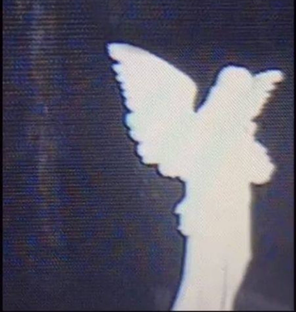 heronwater альбом dreams смотреть онлайн