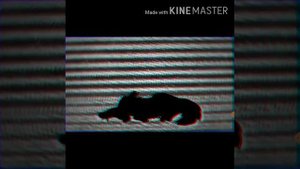 Теории Коты Воители. Кто в теле Ежевичной Звезды?¿(Ч. О)