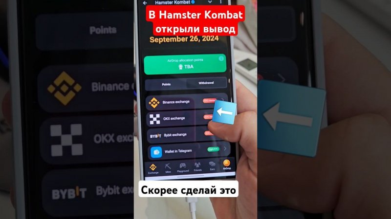 HAMSTER KOMBAT Открыл вывод монет | Скорее привязывает Кошелёк