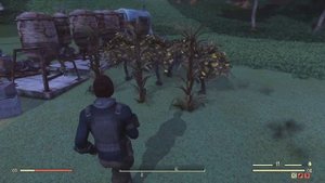 Fallout 76 :: УДОБРЕНИЕ ТУРБОФЕРТ - Урожай за секунду