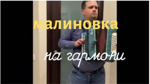 Малиновка на гармони