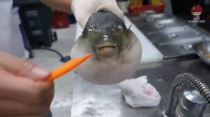 Рыба фугу ест морковь 10 часов