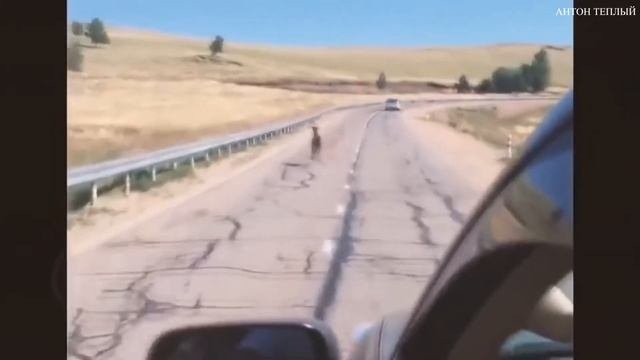 ДОБРЫЕ ПОСТУПКИ ЛЮДЕЙ №4 СОВЕТУЮ ПОСМОТРЕТЬ!