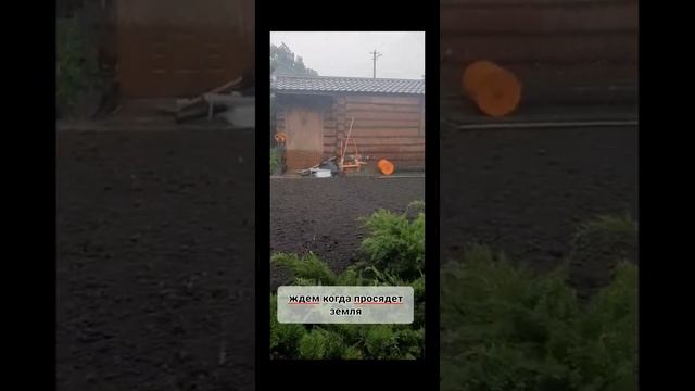 Озеленение участка под ключ. Проект Шабсугское водохранилище смотреть онлайн