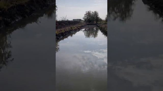 подьездные пути,дороги между прудами шириной 6метров для обслуживания бассейнов ! смотреть онлайн