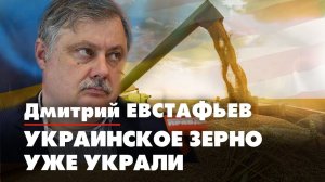 Дмитрий ЕВСТАФЬЕВ: Украинское зерно уже украли | 07.06.2022