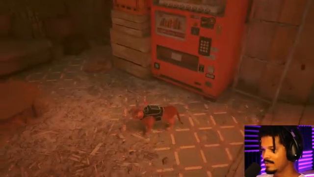 STRAY PT1 смотреть онлайн