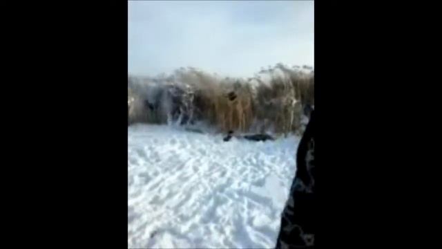 село Балаши (каникулы) смотреть онлайн