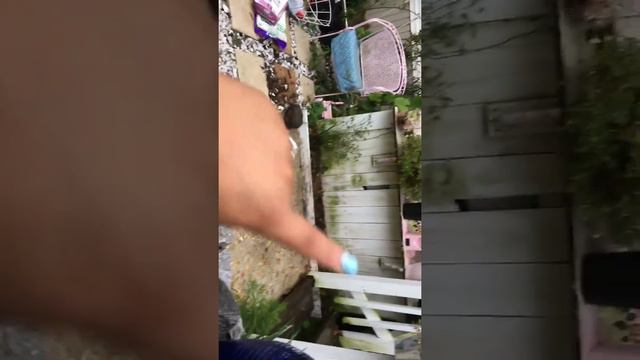 Morados, púrpura💜, Octubre y saludos💜 смотреть онлайн