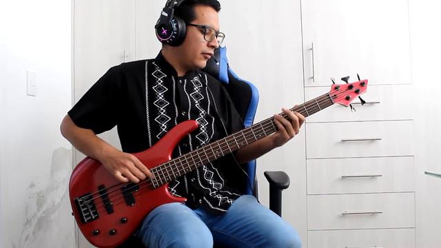 Grandes éxitos - José madero [Bass Cover] смотреть онлайн