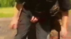 Фурри - миф или вымысел?