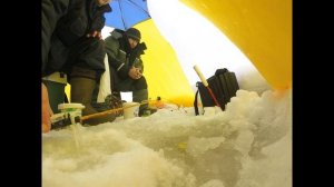 Ловля плотвы для живца, река Яйва... Как из пулемета...Удочки без дела не стояли...