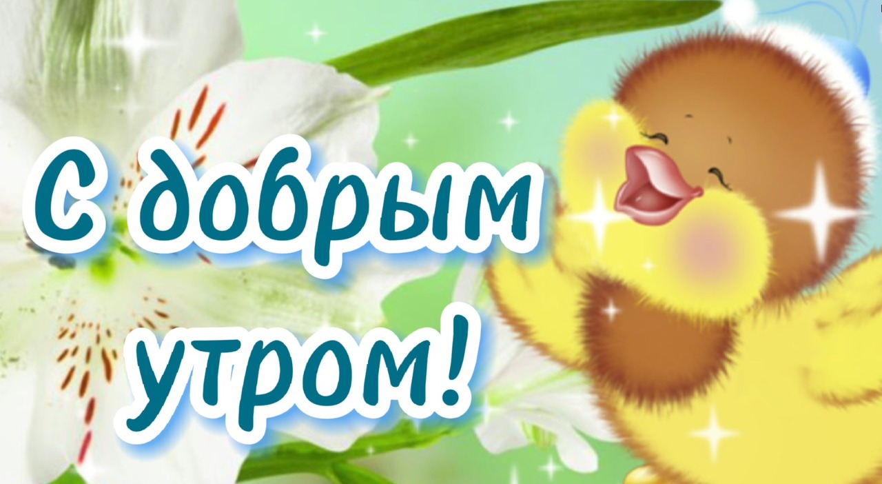С Добрым Утром! ??Позитивного дня! Красивая Музыкальная Открытка Доброе утро Прекрасная музыка
