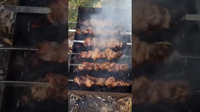 #шашлык на природе. Пикник #Barbecue  #shorts