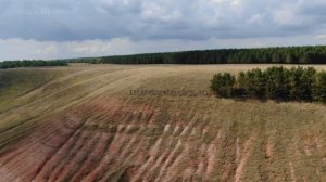 Артюшкино. Самарская область.