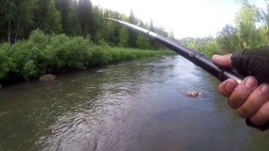 ЖИЗНЬ В ТАЙГЕ.ЗАБРОСКА,РЫБАЛКА НА ХАРИУСА поход в лес