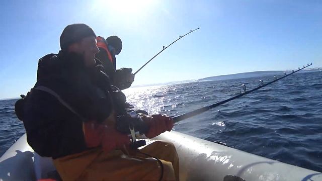 БАРЕНЦЕВО МОРЕ ВЕСНОЙ ИЛИ 400 КГ  ТРЕСКИ НА ЧЕТВЕРЫХ