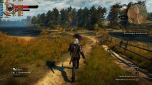 The Witcher 3 Rx 580 8gb 1080p fps teste