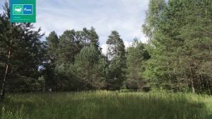 Город – это люди, а не стены. Г. Велиж, Смоленская область