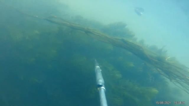 Одна из первых съёмок на экшн-камеру EKEN H9R 4K Ultra HD FHD0048