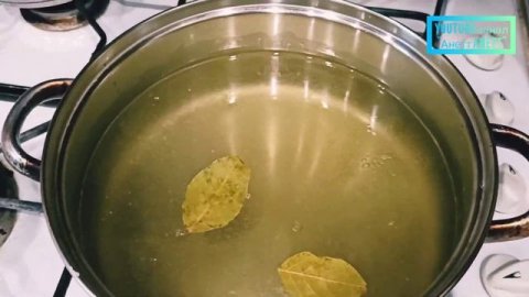 Капуста "Пелюстка"