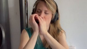 Help Me - Sonny Boy Williamson II (harmonica cover Seelien)