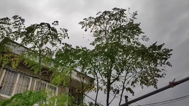 Прогноз на 14 травня в Україні. Погода на завтра смотреть онлайн