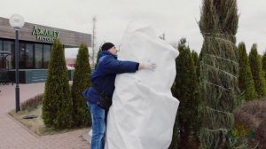 Подготовка деревьев к зиме. Способы укрытия растений на зиму