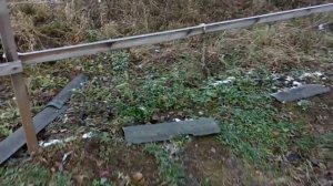 Укрытие винограда на зиму в Ленинградской области