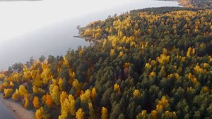 СЕЛО КУРГАНОВО