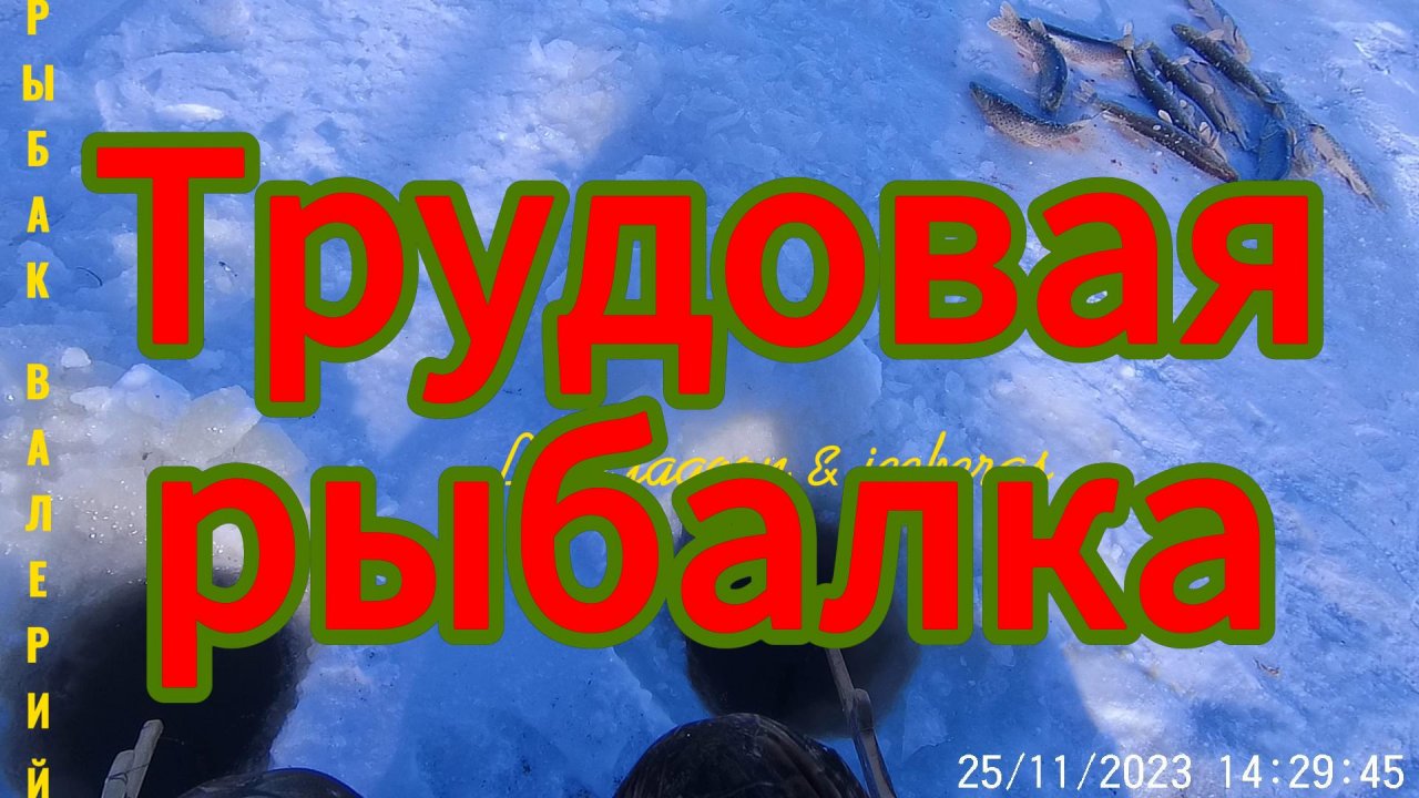 Трудовая рыбалка ?❄️?