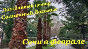 Сочи в феврале? / Дождливый центр? / Солнечный Дагомыс☀