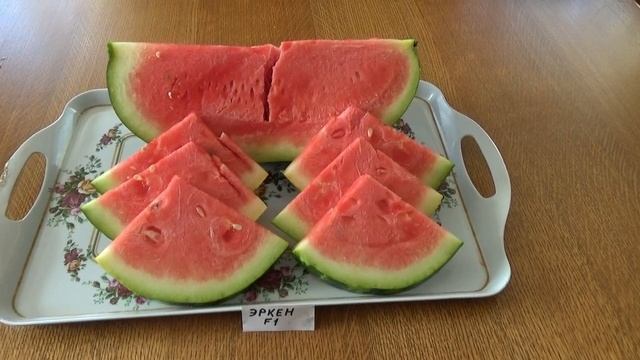 Дегустационная оценка сортов и гибридов арбузов выращенных в Средней Полосе России. смотреть онлайн