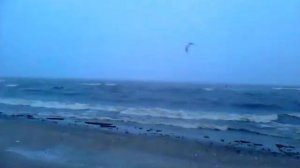 Снежногорск