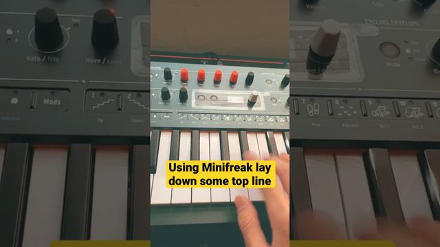 Minifreak is my go to for adding top melody to my beats!