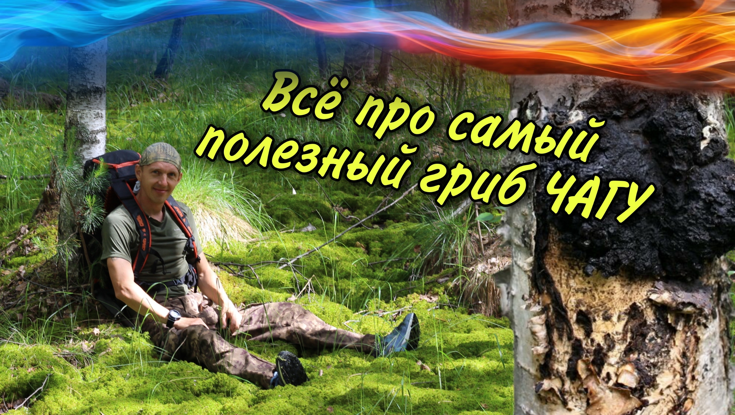💥Гриб «Чага» Лекарство от всех болезней 🔥🔥🔥