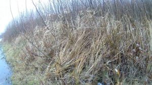 Зачётная рыбалка на воблера от BEARKING.Тест воблера RERANDE 110.Воблер который ловит.