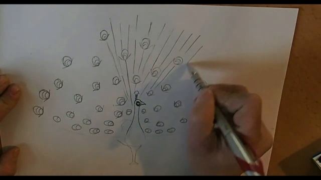 Учимся рисовать Павлин смотреть онлайн