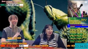 Грибабас ВЗОРВАЛСЯ Опять