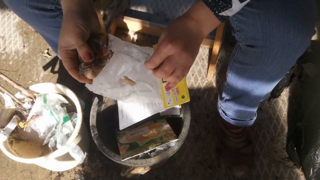 Как подготовить к посадке купленные саженцы? смотреть онлайн