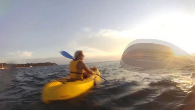 Dusk Kayaking Tour смотреть онлайн