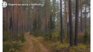 Охота в Вологодской области – Вологодское ОООиР Шолоховское и Вологодское охотхозяйство