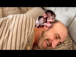 Степашка ПРОСНУЛСЯ и грызет Владу уши , требуя ЗАВТРАКА)))