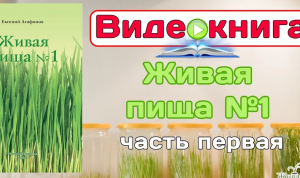 Евгений Агафонов, Видео-книга "Живая пища №1". Благодарности и Введение (Видео 36)