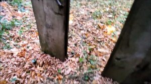 Купил два старых  дома с участком-Почти даром!