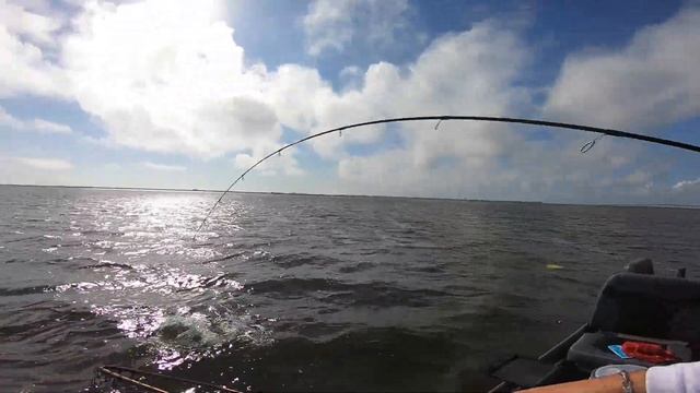 How To Fish A Popping Cork With Gulp Shrimp, Fishing With Mrs Trident Fishing.. Multiple PB's Caugh смотреть онлайн