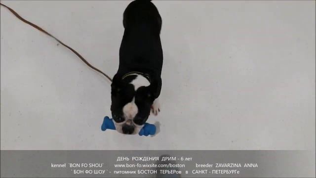 Д.Р Дрим - 6 лет смотреть онлайн