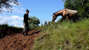 КУПИЛИ ДОМ В ДЕРЕВНЕ. ВЫКОПАЛИ ПЕРЕХОД ЧЕРЕЗ БОЛЬШОЙ ОВРАГ НА ПАСТБИЩЕ