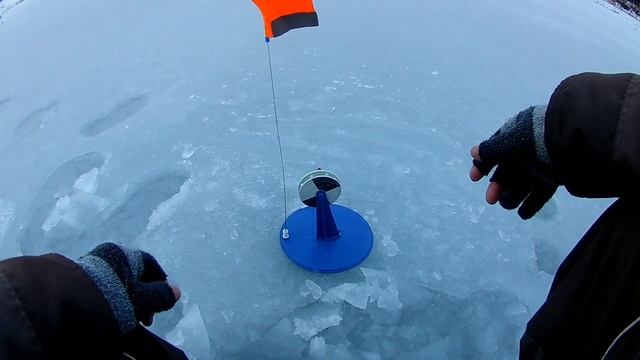 101 ПОКЛЕВКА НА ЖЕРЛИЦЫ?,А ДОМОЙ БЕЗ ЩКИ?2023. смотреть онлайн