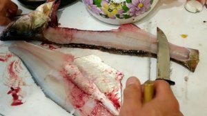 КАК ФИЛЕРОВАТЬ СУДАКА